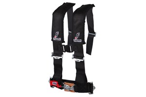 DragonFire Harness Restraints / Seat Belts